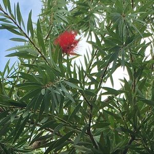 Meet your Posher, Sue